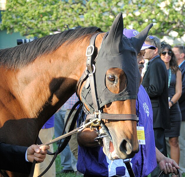 File:Beholder wearing hood.jpg