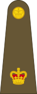 Файл:British Army OF-3.svg