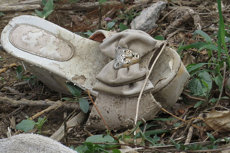 File:Derelict female shoes@Ershilipu (20140607123142).JPG