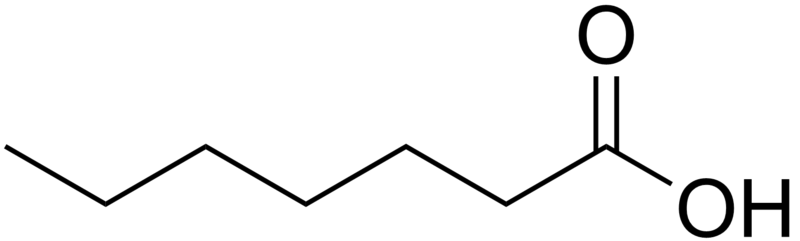 File:Heptanoic acid.png