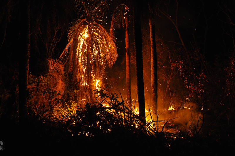 Archivo:Incendio en Ñembi Guasu.png