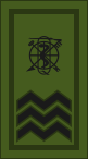 File:Ireland-Army-OR-6 camo.svg