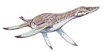 Leptocleidus