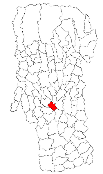 File:Pitesti jud Arges.png