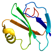 Protein CD59 PDB 1cdq.png