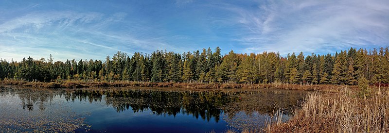 File:Redmond's Pond1.jpg