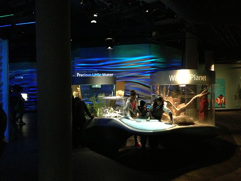 File:Steinhart Aquarium 5 2013-03-27.jpg