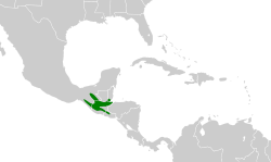 Distribución geográfica del mosquerito centroamericano.