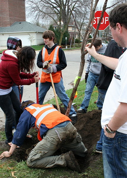 File:ArborDay2009treeplanters.JPG