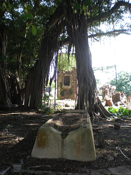 Archivo:Koloa-old-sugar-trough&chimney.JPG