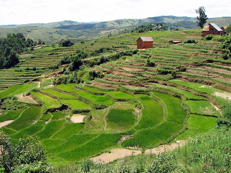 File:Landscape Madagascar 06.jpg