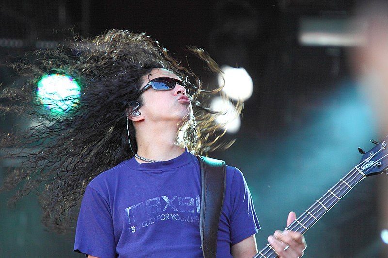 Файл:Mike Inez 2010.jpg