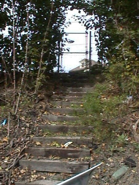 File:Mt Bowdoin steps.jpg