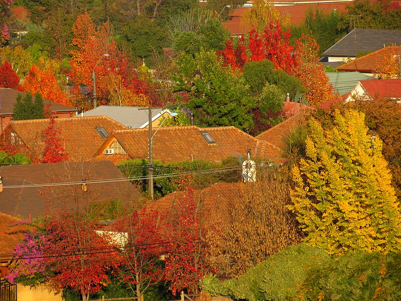 Archivo:Otoño en Curico (17988130569).jpg