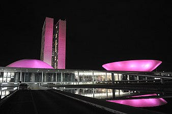 The National Congress of Brazil lit up in pink for Breast Cancer Awareness Month on October 1, 2014.