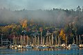 Mist surrounds the marina.