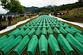 Burial of 465 identified Bosniaks (July 11, 2007)