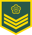 File:Taiwan-army-OR-3.svg