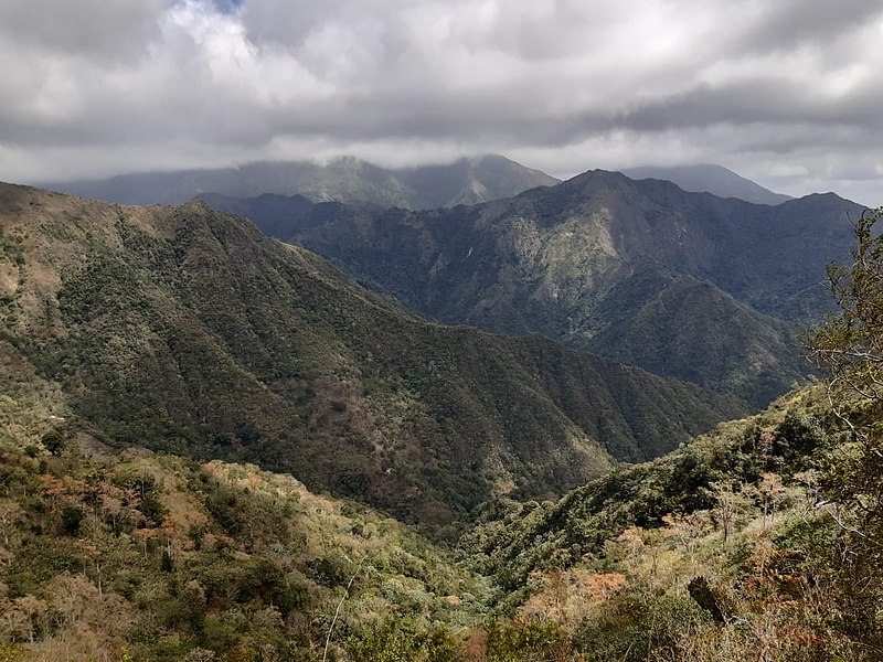 Archivo:Desde el manaclar.jpg