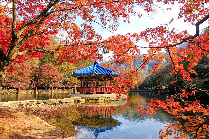 File:Naejangsan Pavilion 2.jpg