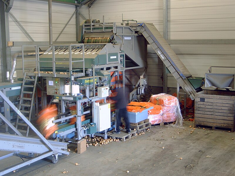 File:Pro-Pak onion weigher CW10.jpg