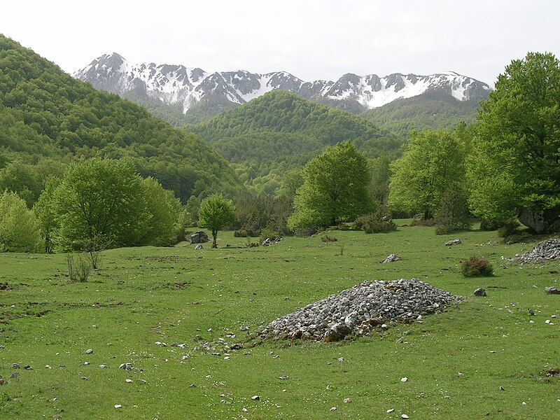 File:ValleFondillo.jpg