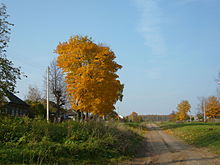 Никулино(Калужская область).jpg