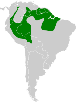 Distribución geográfica del ticotico coronicastaño.