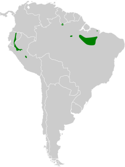 Distribución geográfica del pibí negruzco.