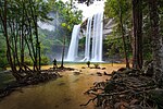 Miniatura para Parque nacional de Phu Chong Na Yoi