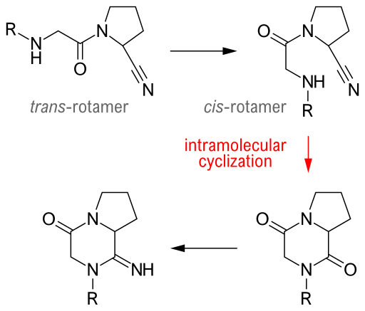 File:Intramolecular cyclization of cis-rotamer.svg