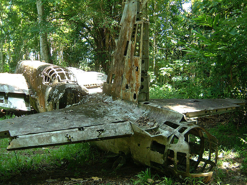 File:PNG-Japanese-Nakajima-Ki-49-Hellen-Oct-2002-00.jpg