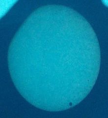 Venustransit.jpg