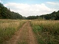 The road on Mighindoala river valley