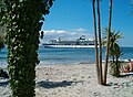 Seasonally planted palm trees at "Tropical Beach".