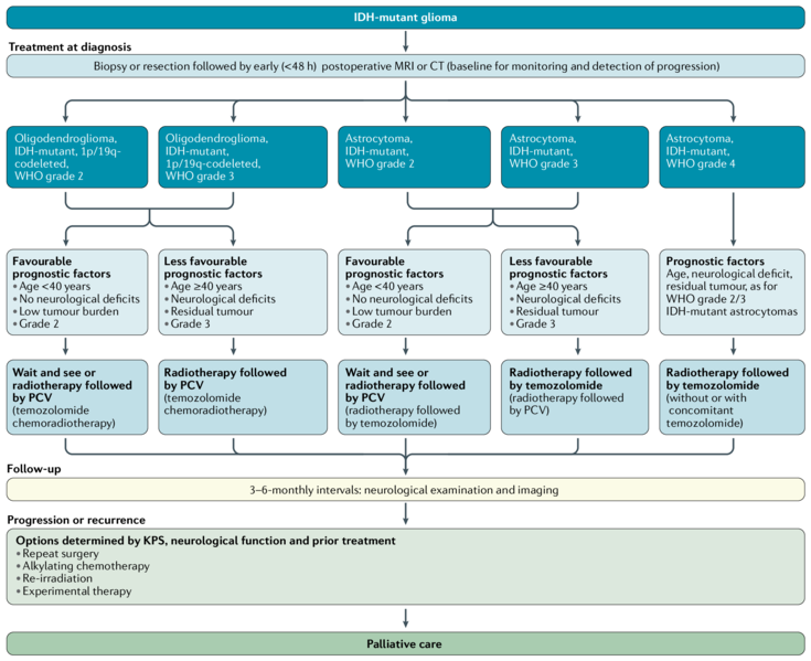 File:Management of IDH-mutant glioma.png