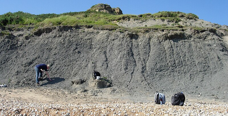 Файл:OxfordClay Weymouth.JPG