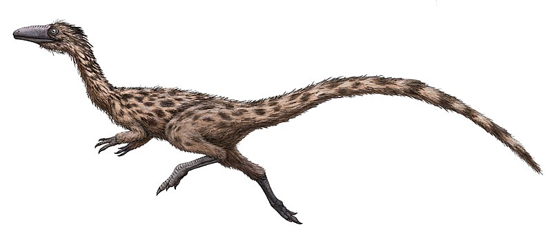 File:Podokesaurus restoration.jpg