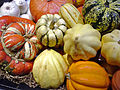 Various squashes such as Turban, Sweet Dumpling, Carnival, Gold Acorn, Delicata, Buttercup and Golden Nugget.