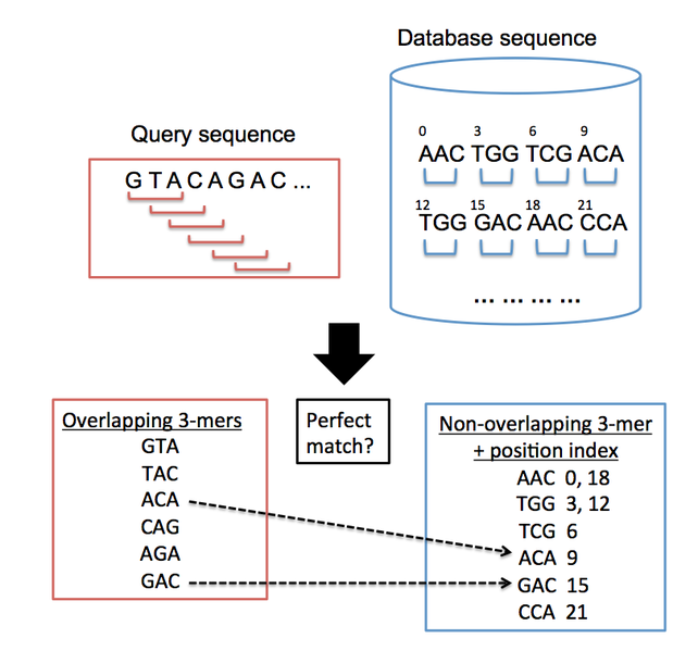 File:BLAT indexing.png