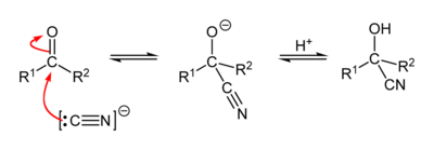 Mechanism of the cyanohydrin reaction