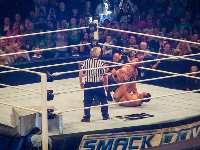 File:Double Knee Backbreaker.jpg