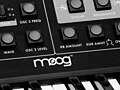 Moog Little Phatty (closeup)