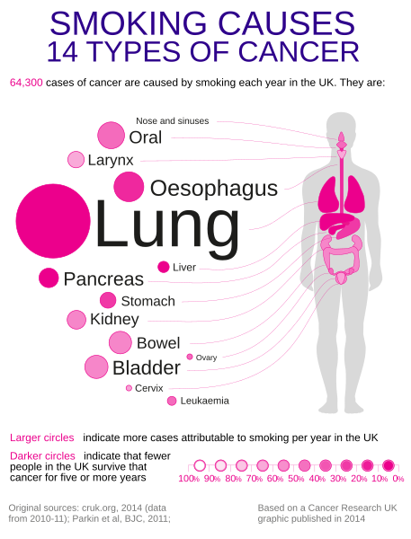 File:Tobacco cancers caused.svg