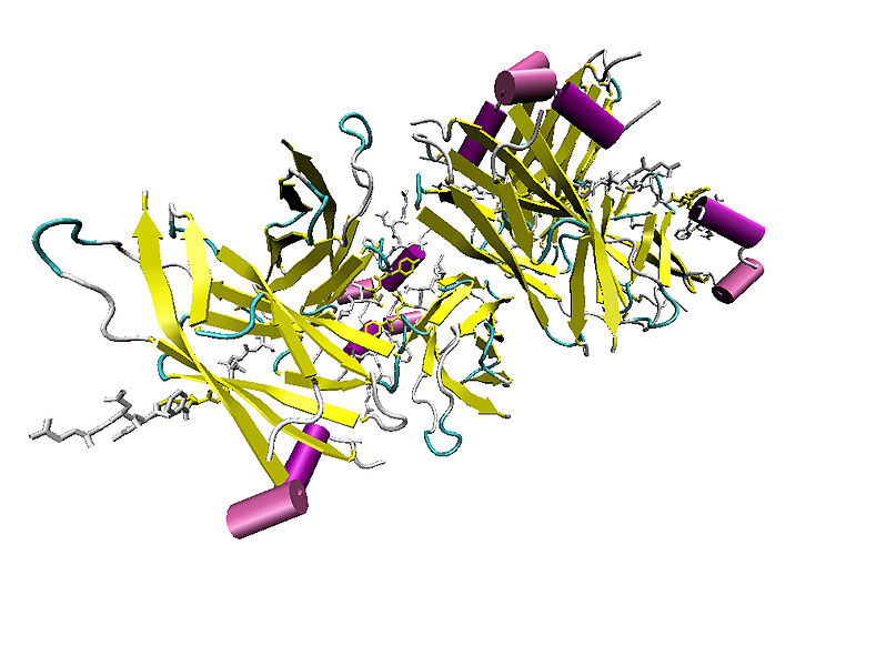 File:1Z90 oligomer.jpg