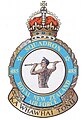 485 NZ Sqn Badge