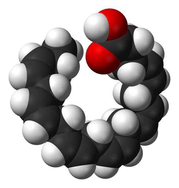 File:Docosahexaenoic-acid-3D-sf.png