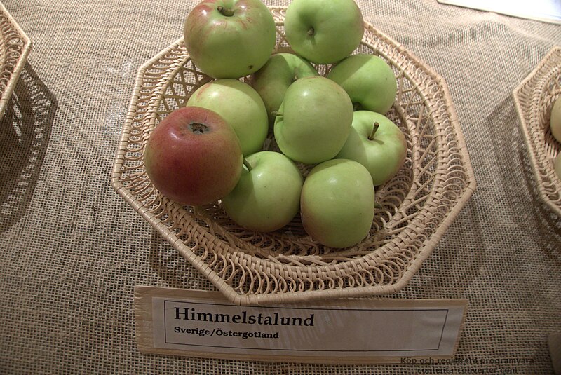 File:Himmelstalund Apple.jpg