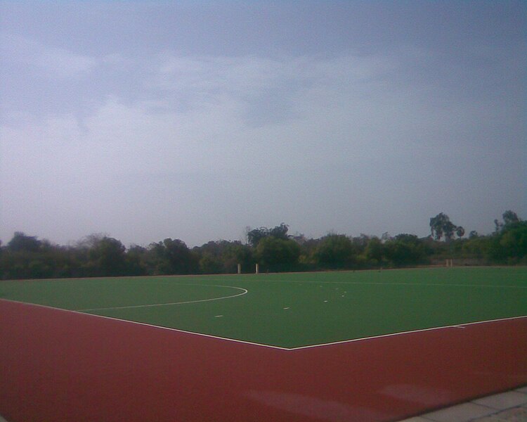 File:Hockey Turf Anna Stadium.jpg