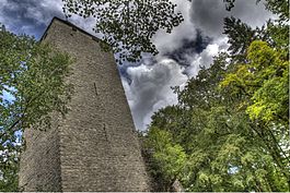 La Molière tower in Murist